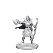 Mini - Pathfinder Deep Cuts : Elf Sorcerer (Male)