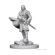 D&D Nolzurs Marvelous Unpainted Miniatures: Wave 1: Vampires
