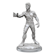 WizKids D&D Nolzur's Marvelous Miniatures: Headless Monster