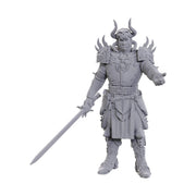 WizKids D&D Nolzur's Marvelous Miniatures: Special Edition Baldur's Gate 3 (Sarevok Anchev & Raphael)