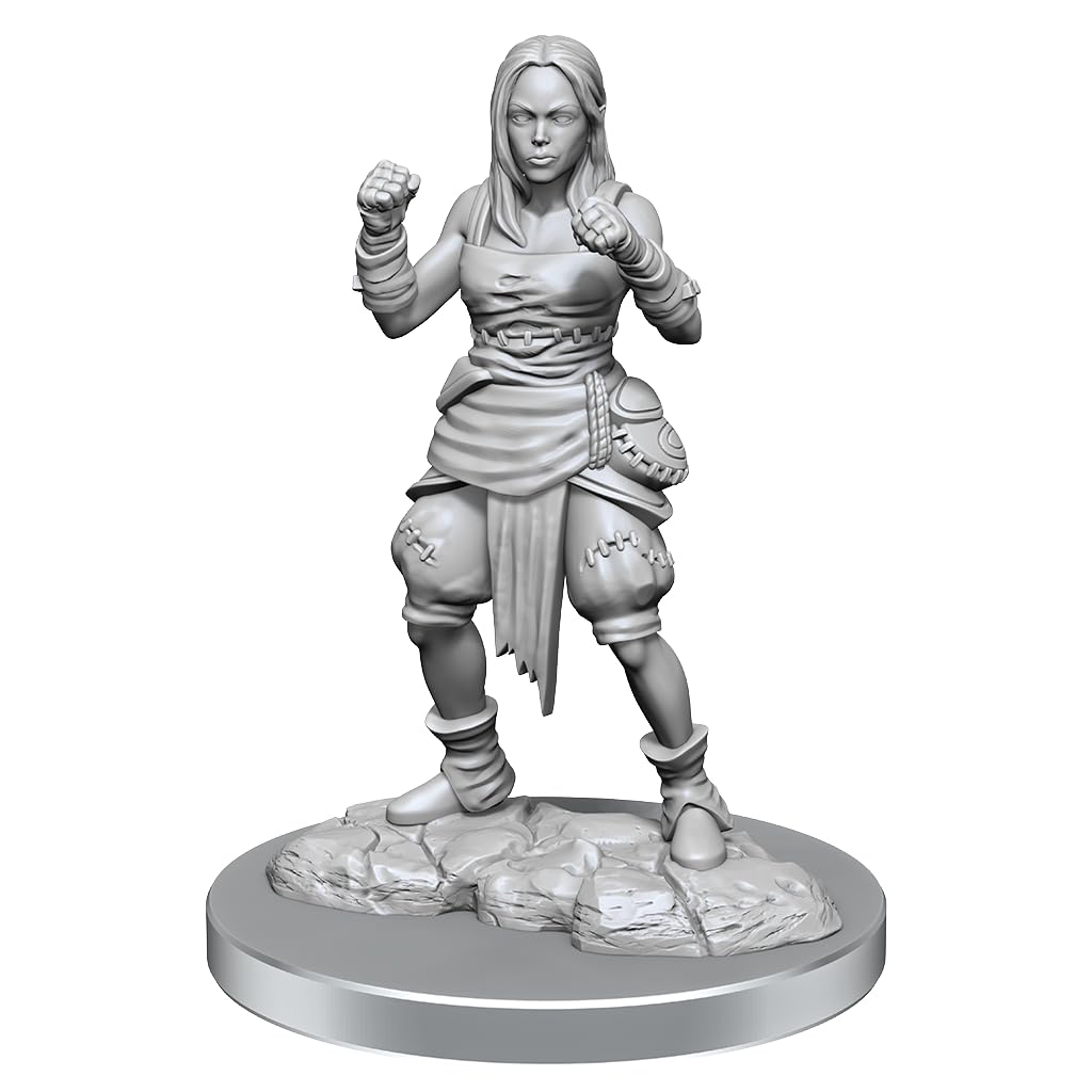 WizKids Pathfinder Deep Cuts: Half-Elf Monk Female Pathfinder Miniatures