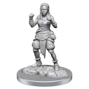 WizKids Pathfinder Deep Cuts: Half-Elf Monk Female Pathfinder Miniatures