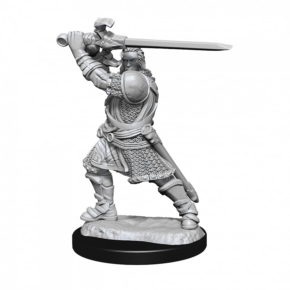D&D: Nolzur's Marvelous Minis: Human Paladin Male Wave 14 (Unpainted)