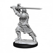 D&D: Nolzur's Marvelous Minis: Human Paladin Male Wave 14 (Unpainted)