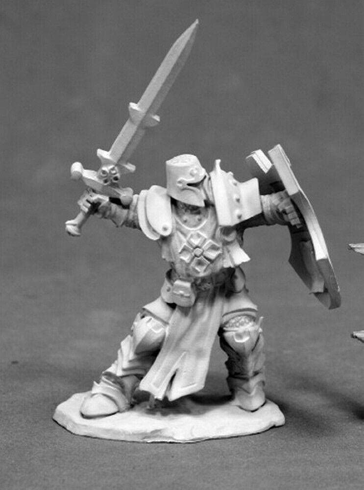 Dark Heaven Legends: Crusader Champion