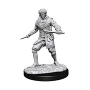 Pathfinder Deep Cuts Unpainted Miniatures: Wave 10: Male Elf Rogue
