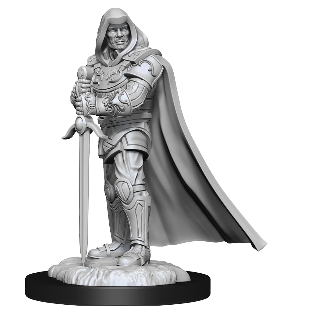 D&D Nolzur's Marvelous Miniatures - Human Paladin Male (6 Units)