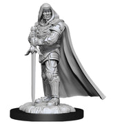 D&D Nolzur's Marvelous Miniatures - Human Paladin Male (6 Units)