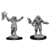 D&D: Nolzur's Marvelous Minis: Female Dragonborn Fighter W11 (Unpainted)