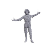WizKids D&D Nolzur's Marvelous Miniatures: Special Edition Baldur's Gate 3 (Volo & Withers)