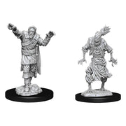 D&D: Nolzur's Marvelous Minis: Scarecrow & Stone Cursed Wave 14 (Unpainted)