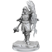 WizKids D&D Nolzur's Marvelous Miniatures: Half-Elf Warlock Unpainted Dungeons and Dragons Miniatures