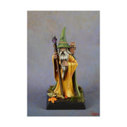 Dark Heaven Legends: Anuminar Winterbeard, Wizard