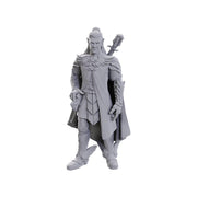 WizKids Critical Role Unpainted Miniatures: | Unpainted Miniatures | Wave 23 (Dorian Storm, Plastic)