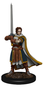 Icons of the Realms: Premium Figures - Human Cleric Male