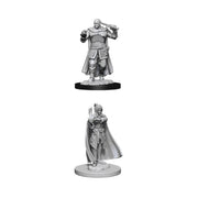 D&D Nolzur's Marvelous Miniatures - Human Ranger & Moon Elf Sorcerer