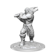 Dungeons & Dragons D&D: Nolzur's Marvelous Unpainted Minis: Ogre Female WZK 90426