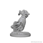 Mini - D&D Nolzur's Marvelous : Ghost & Banshee