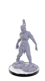WizKids Pathfinder Deep Cuts: Plague Zombie & Skeletal Champion Pathfinder Battles Unpainted Miniatures