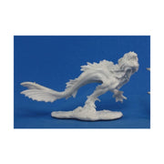 Bones: Sea Lion