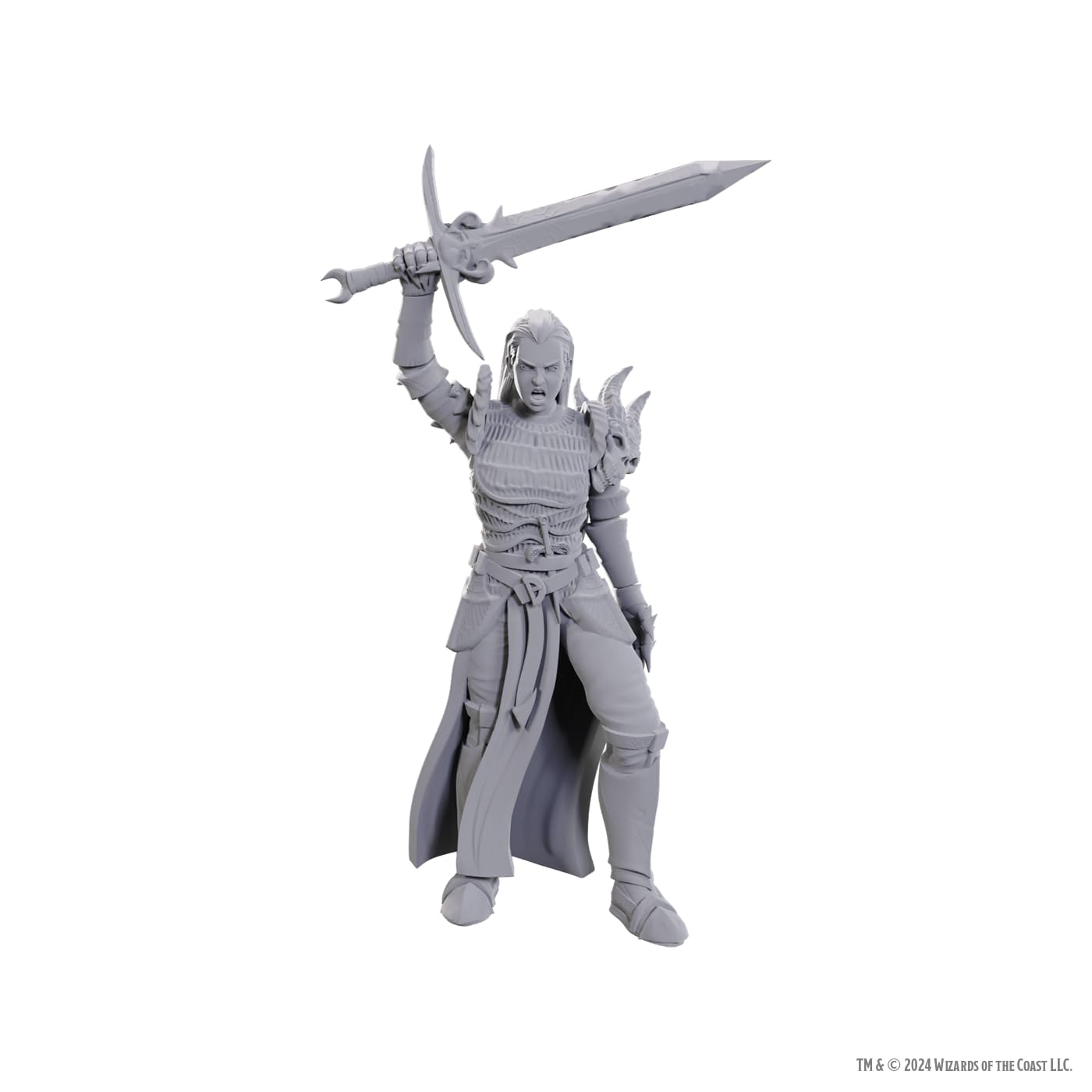 WizKids Dungeons & Dragons Nolzur's Marvelous Miniatures | Unpainted Miniatures | Wave 25 (Blackguard)