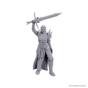 WizKids Dungeons & Dragons Nolzur's Marvelous Miniatures | Unpainted Miniatures | Wave 25 (Blackguard)