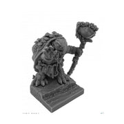 Reaper Miniatures Koga Mossback - Spikeshell Druid