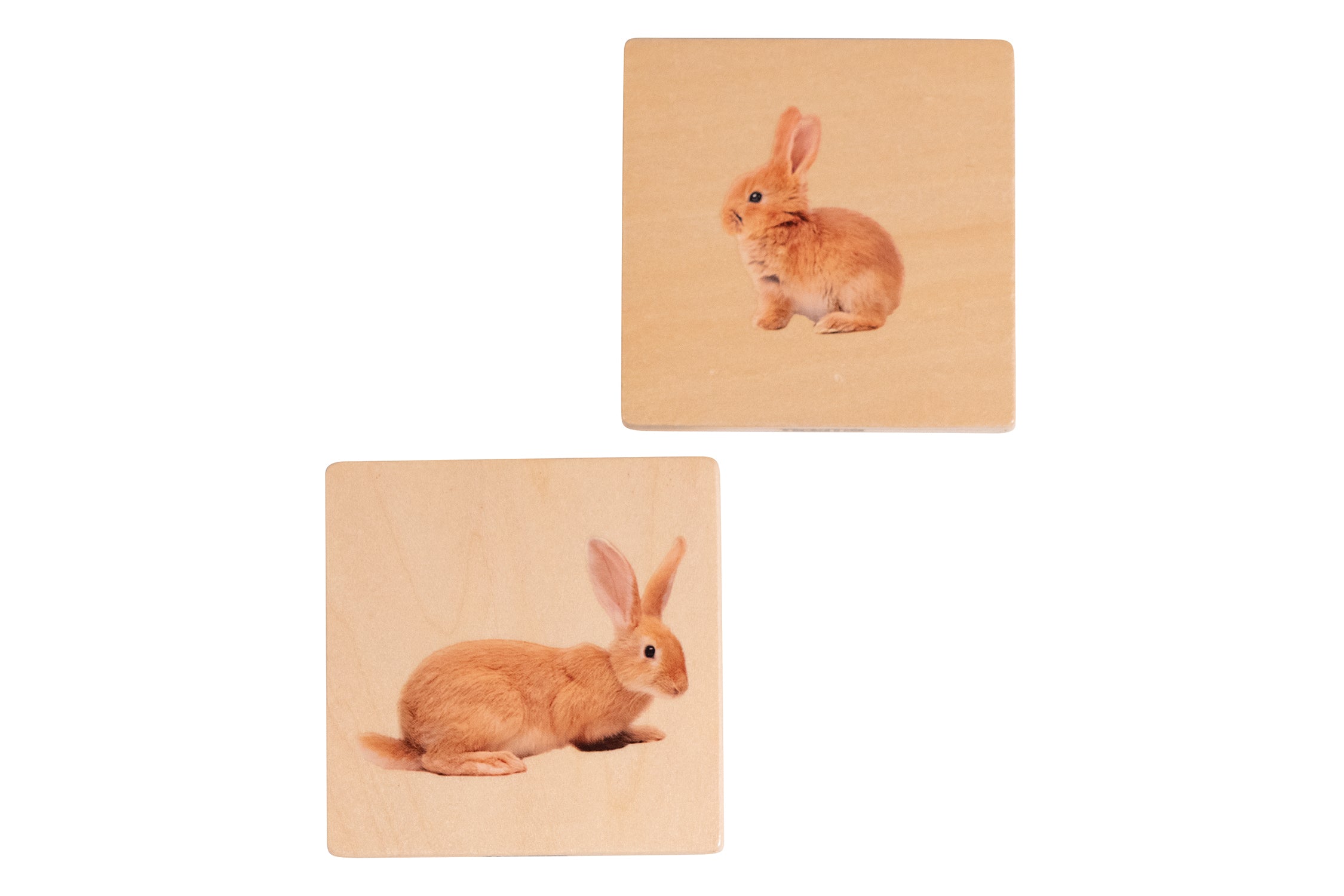 Domestic Animal Family Match - Set of 28