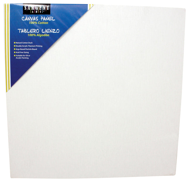 2094246 12 X 12 in. Canvas Panel, White