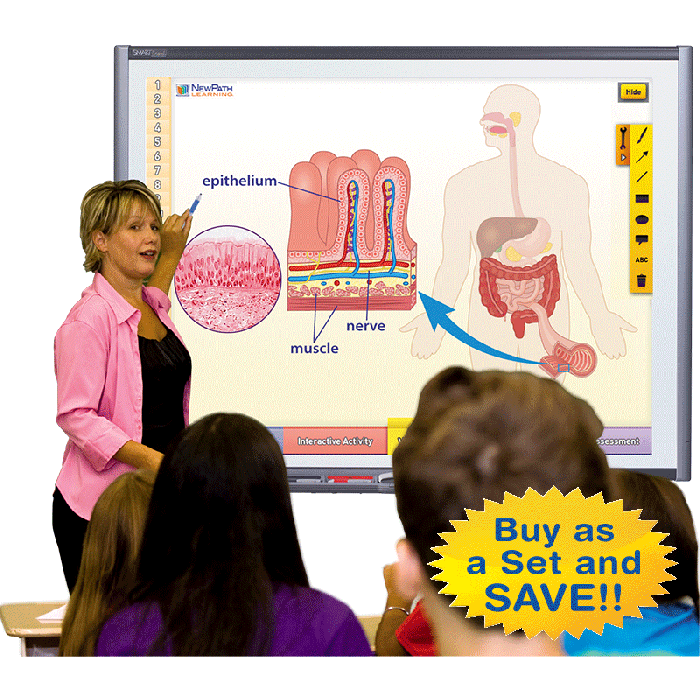 Human Body Learning Guides with Links – Set of 3