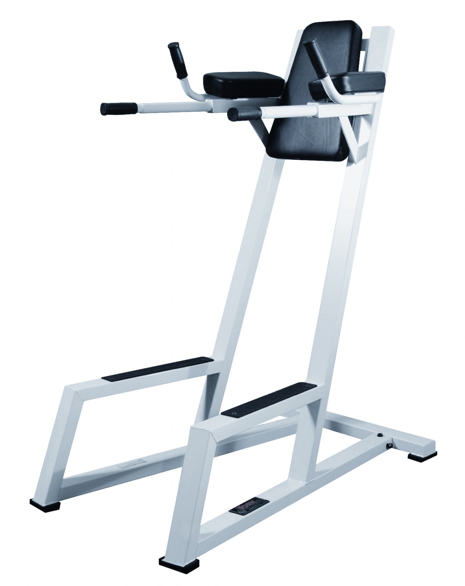 STS Vertical Knee Raise (VKR) with Dip - Silver