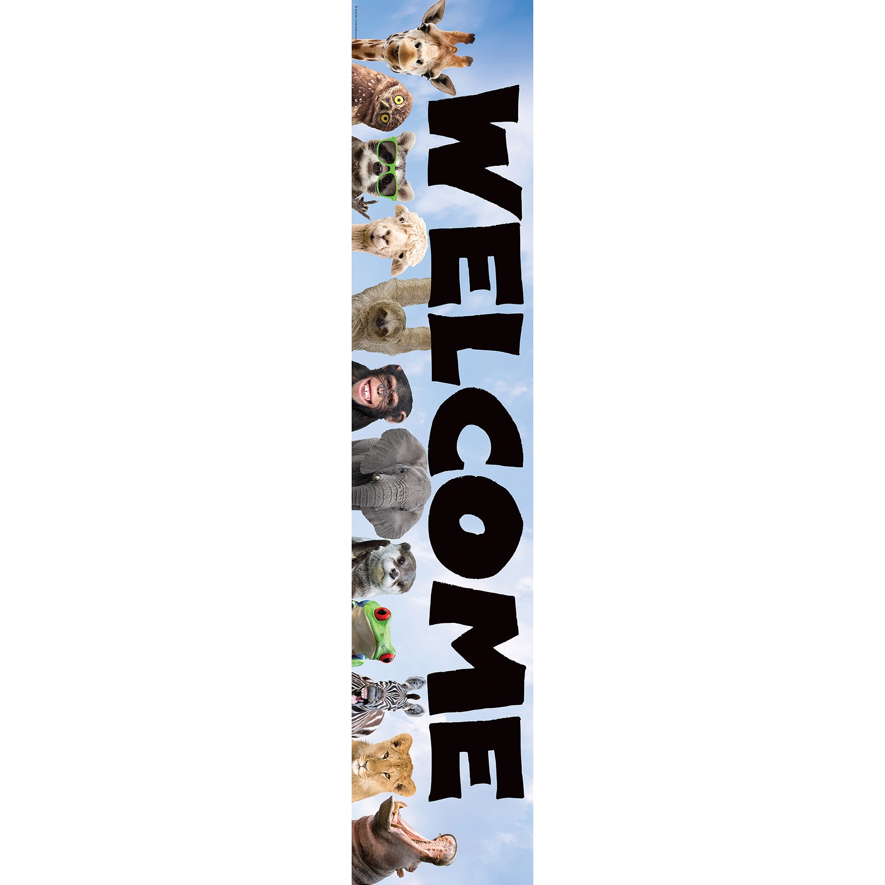 Go Wild Animals Welcome Banner, 8" x 39"