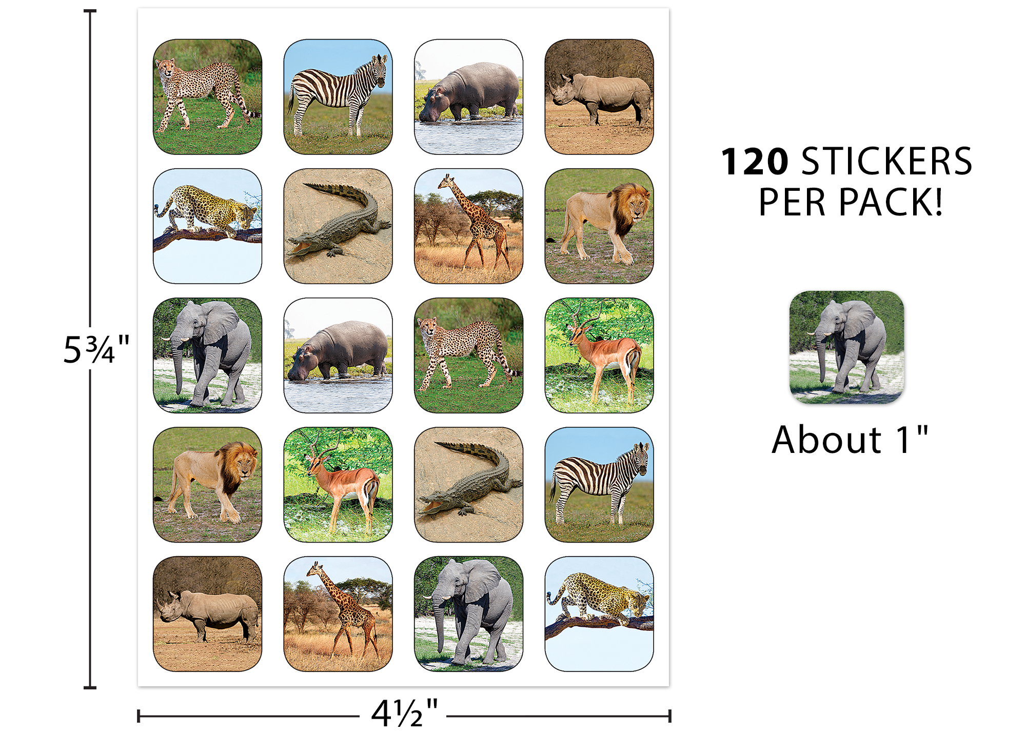 Safari Animals Stickers