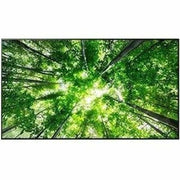 55" 4K Uhd 60Hz Native Smarttv