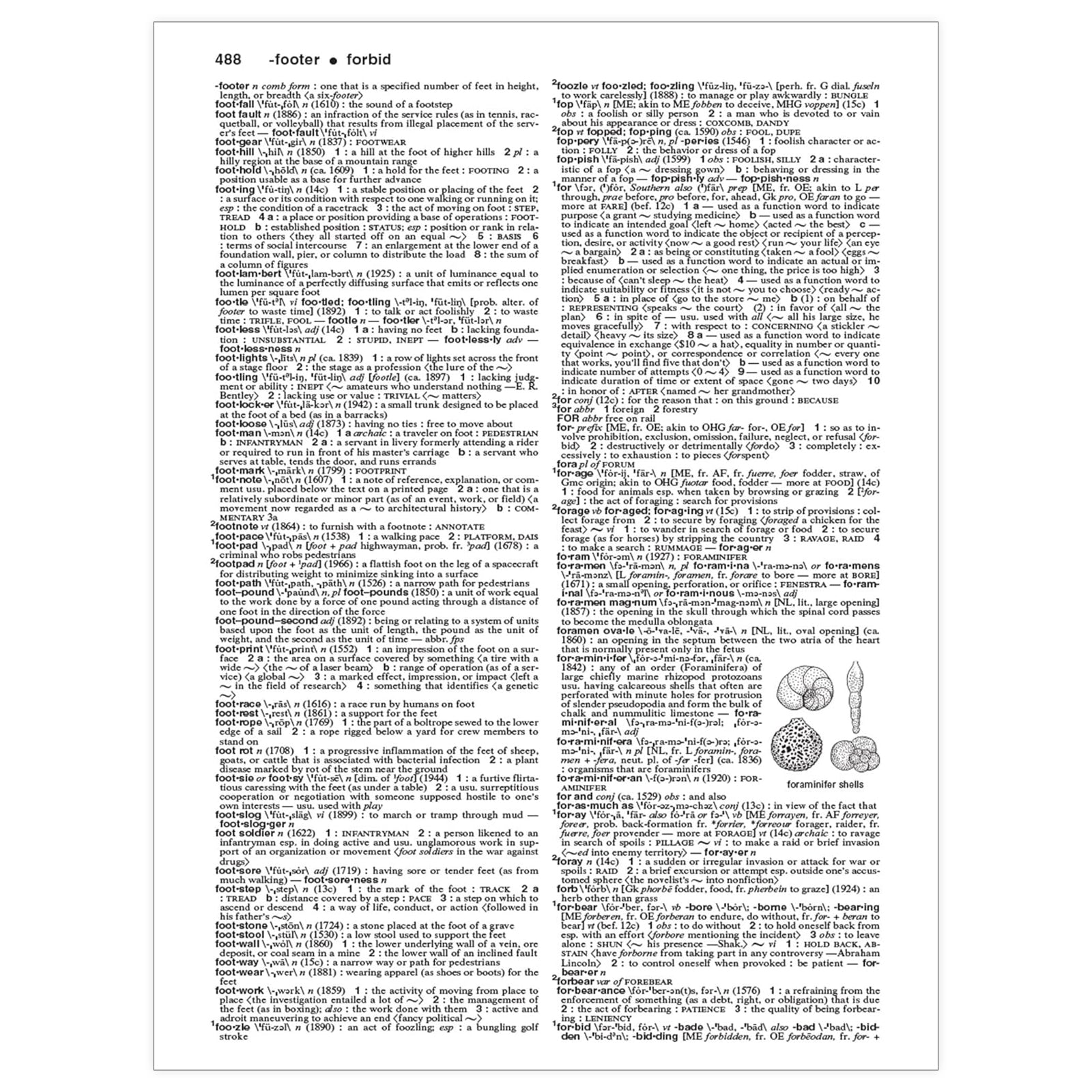 Collegiate® Dictionary, Eleventh Edition, Laminated Hardcover