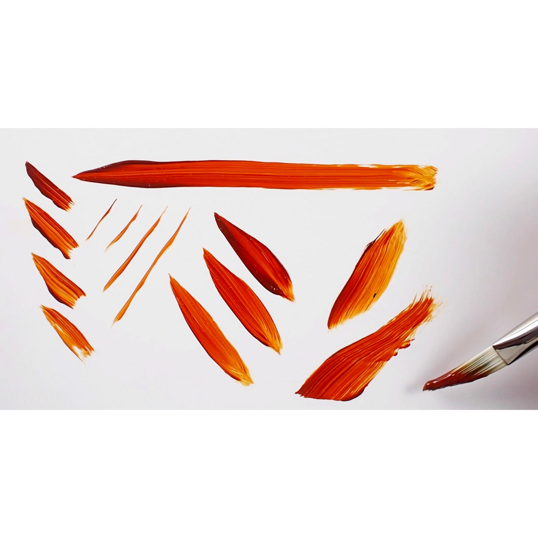 Bristlon Triangle Cats Tongue Brushes, Set of 5