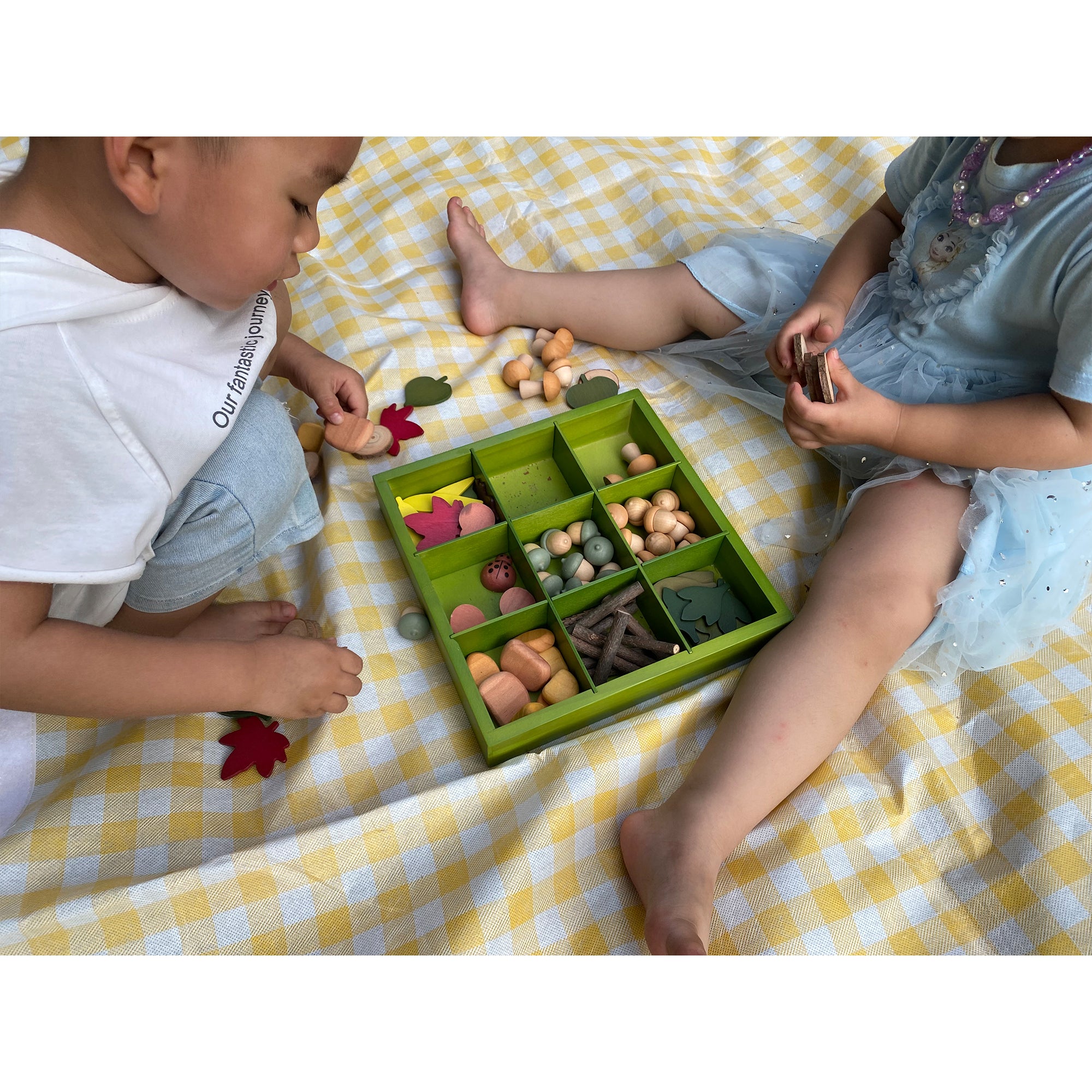 Nature's Sorting Box