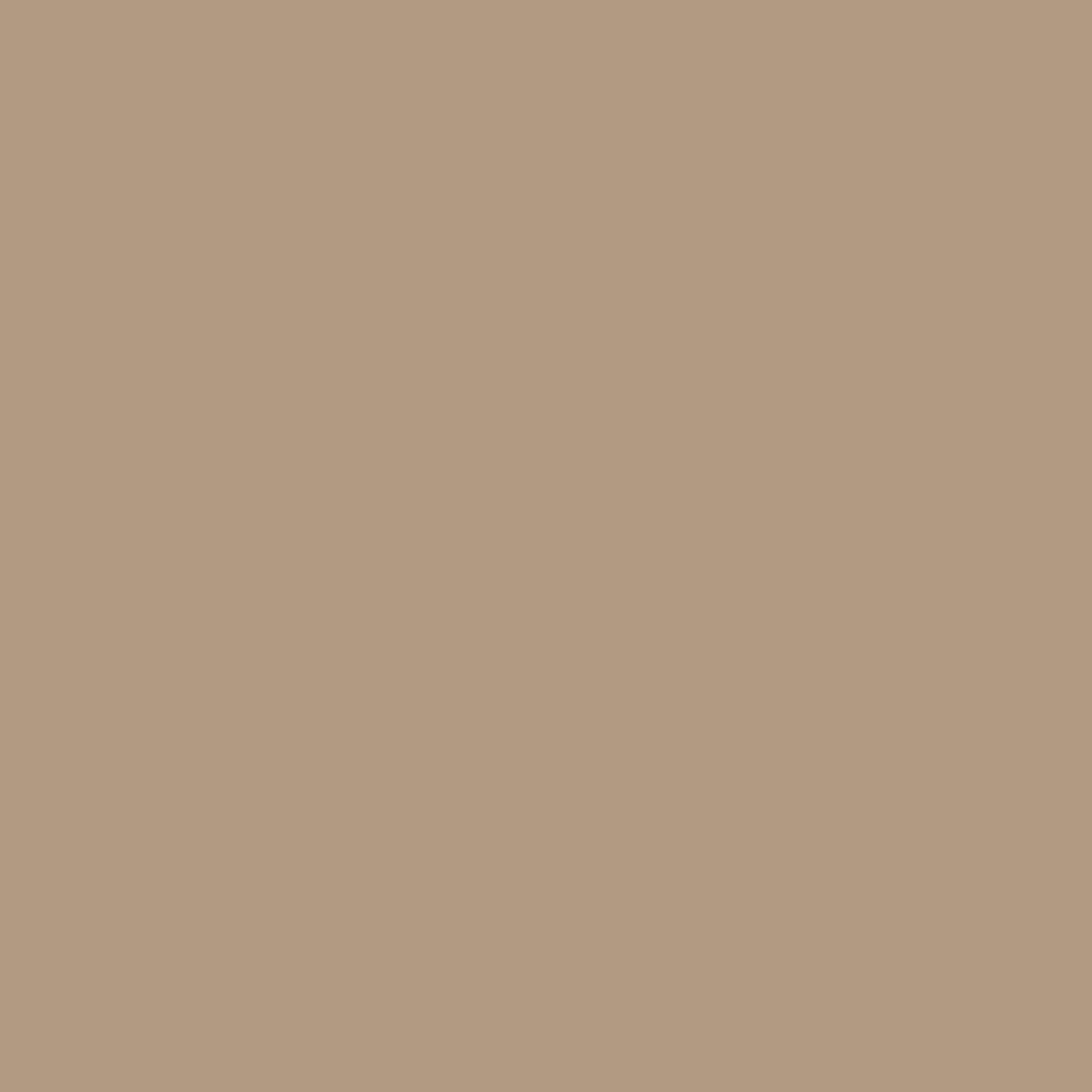 Acrylic Paint Matte, 8oz., Country Tan