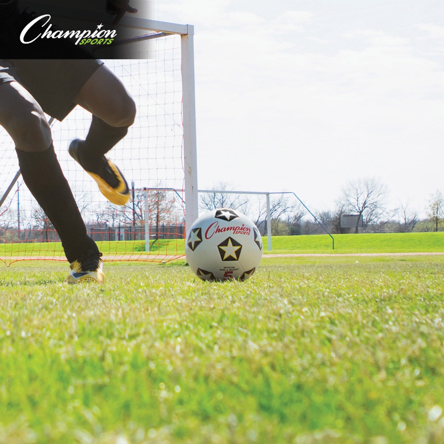 Soccer Ball, No. 5
