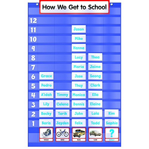 Five-Column Graph Pocket Chart by Scholastic Inc Book & Toy | Indigo Chapters