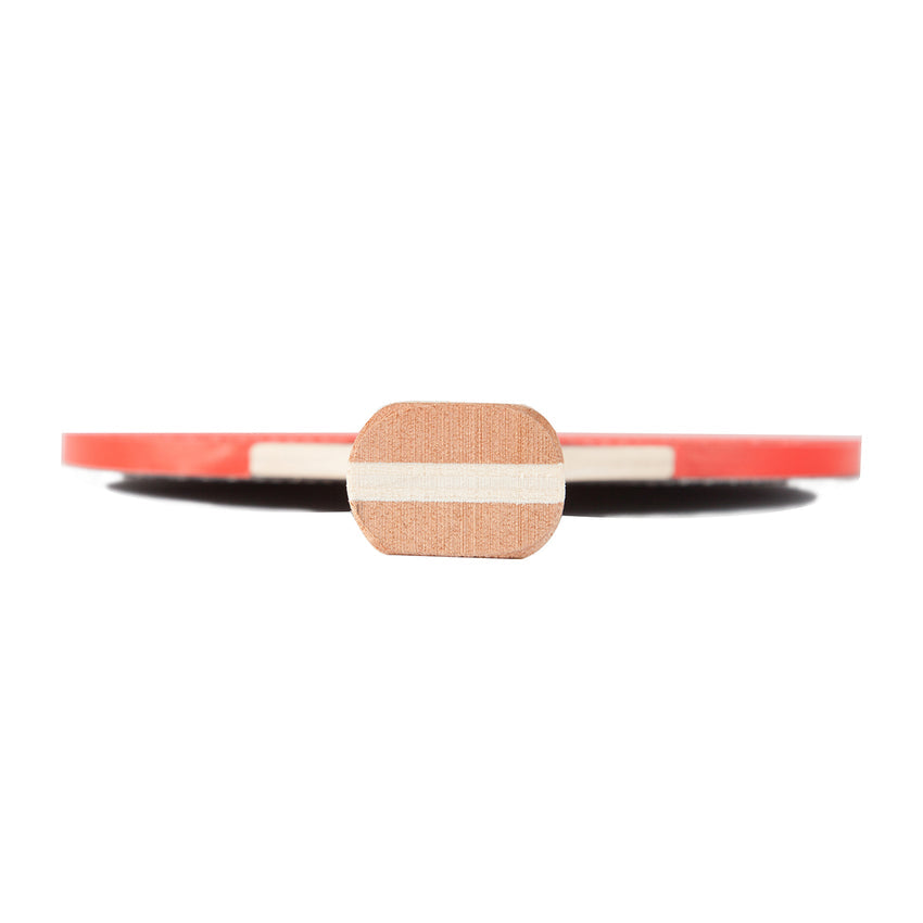 JOOLA Essentials Pickleball Paddles & Balls Set