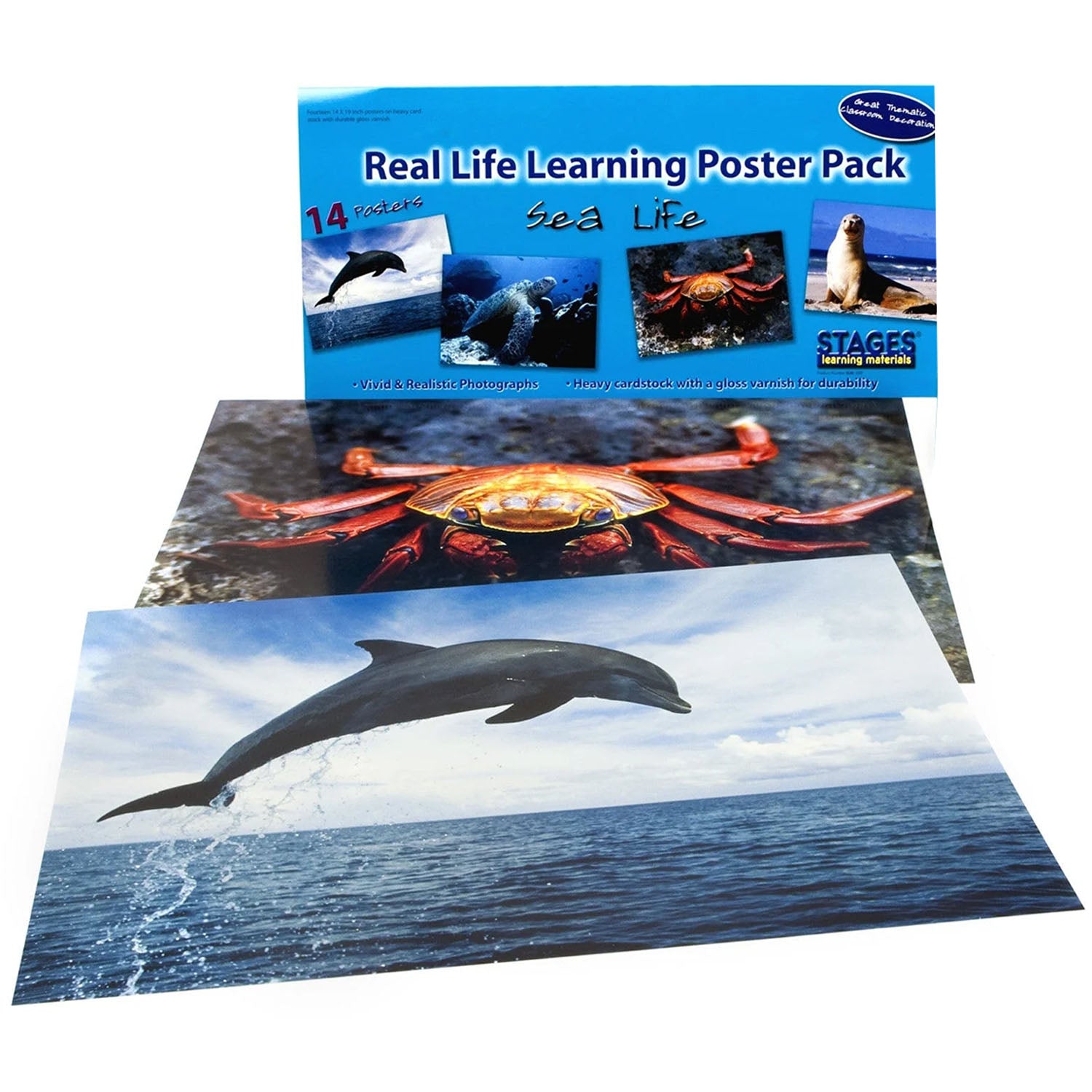 Sea Life Poster Set, Set of 14