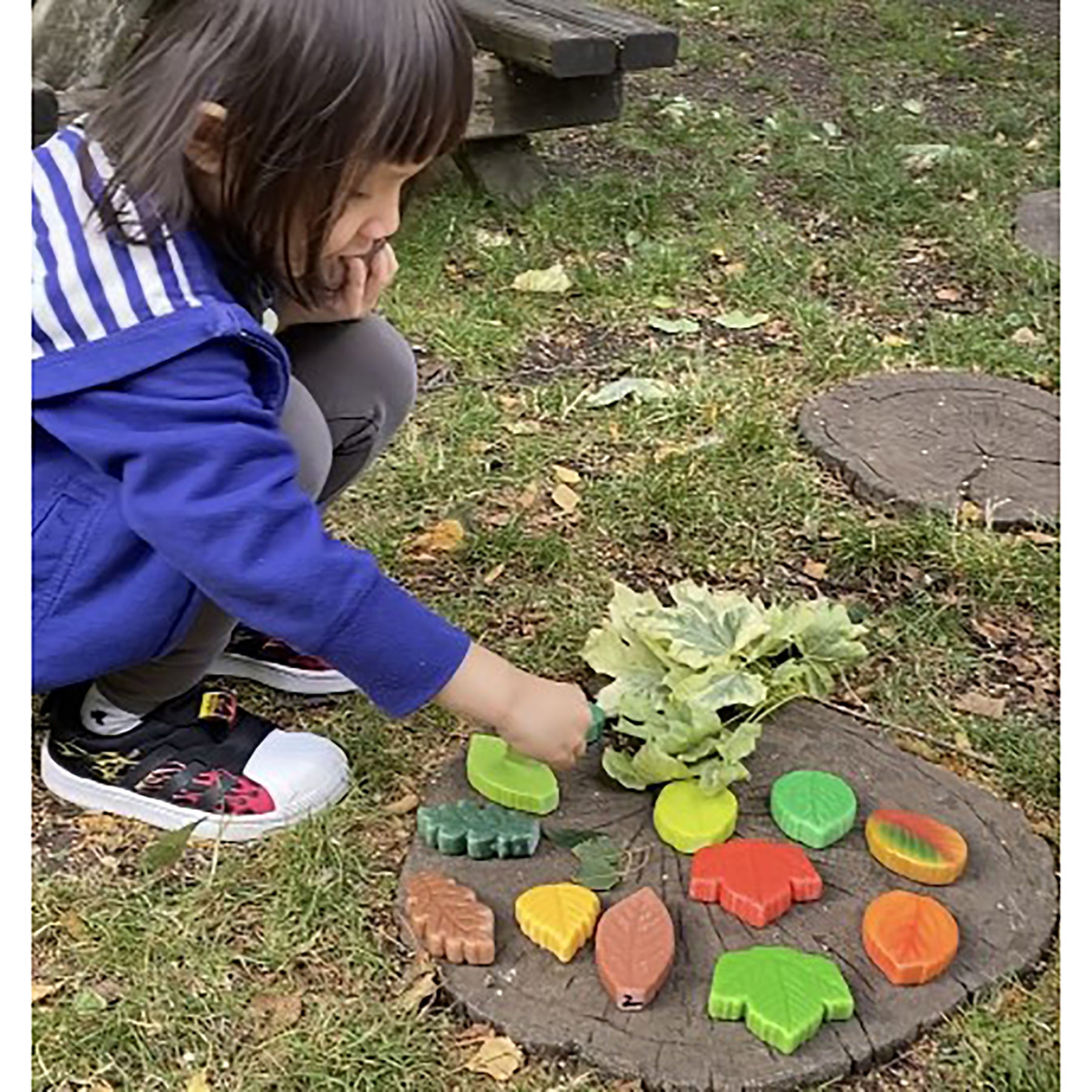 Sensory Play Stones - Leaves - Set of 12