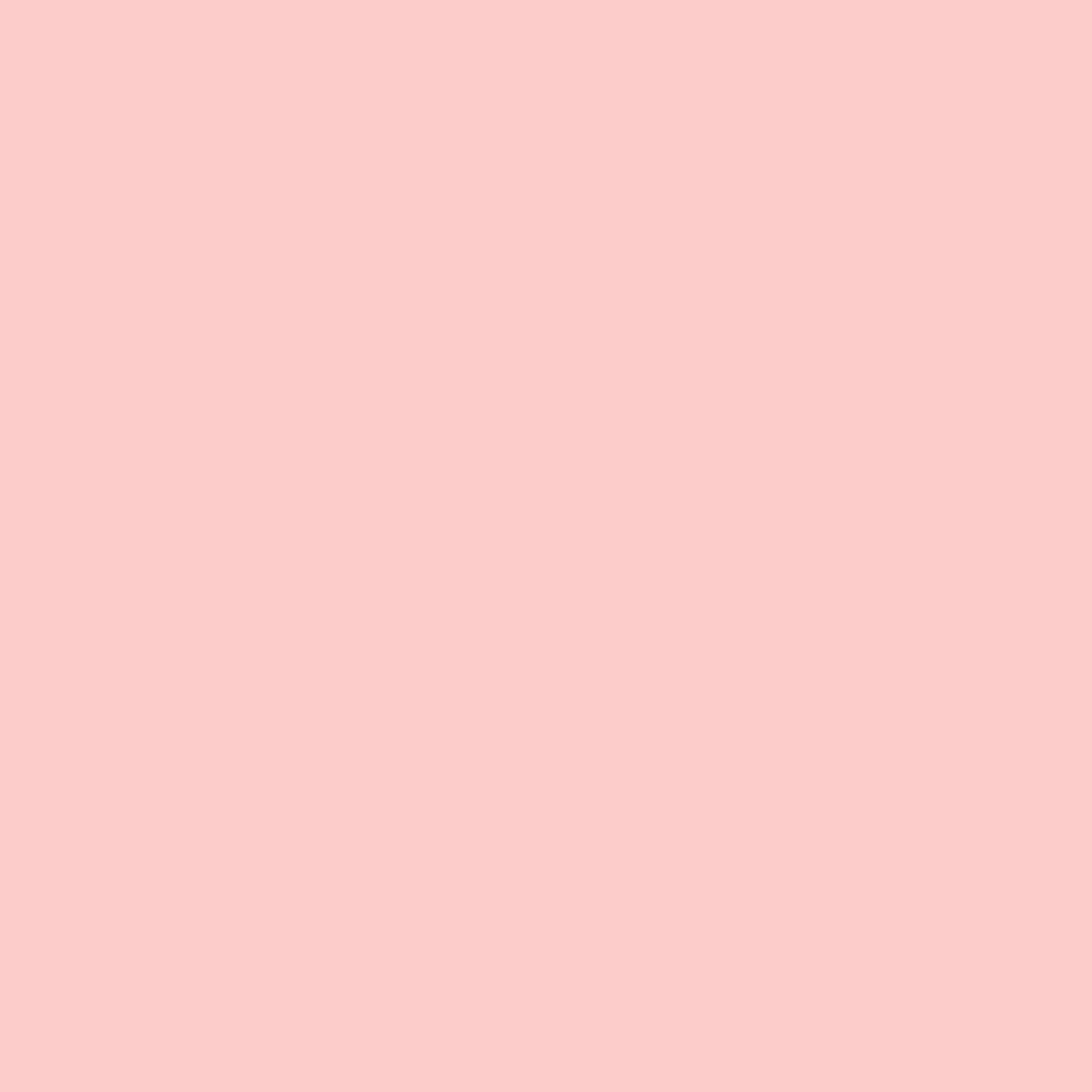 Acrylic Paint Matte, 8oz., Conch Shell