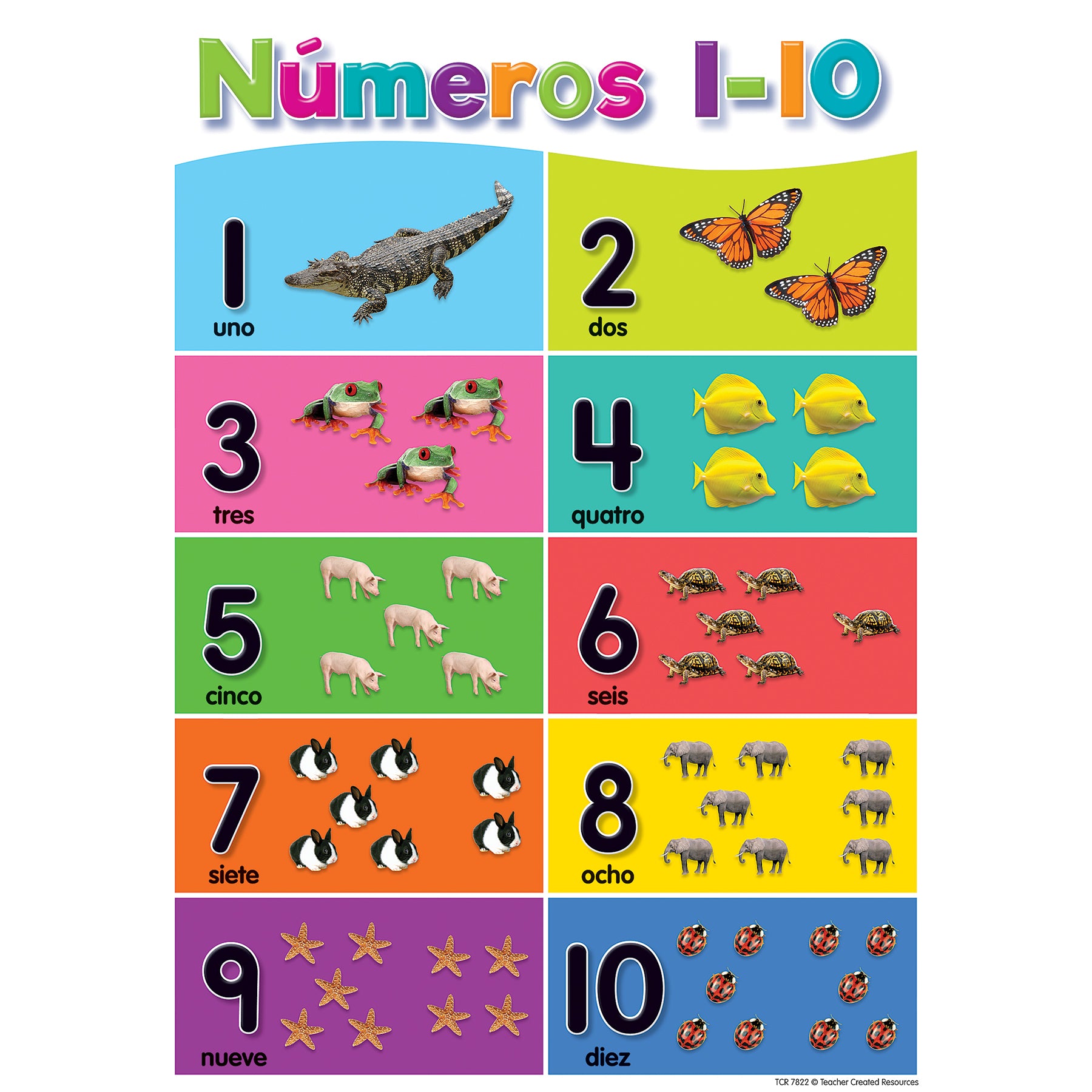 Spanish Colorful Early Learning Small Poster Pack, 11" x 15-3/4", Pack of 12