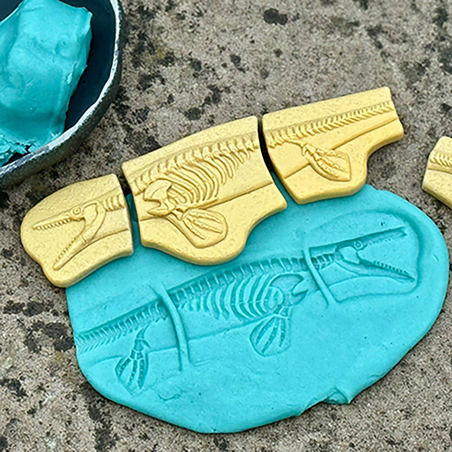 Dig and Discover - Pliosaur & Stegosaurus