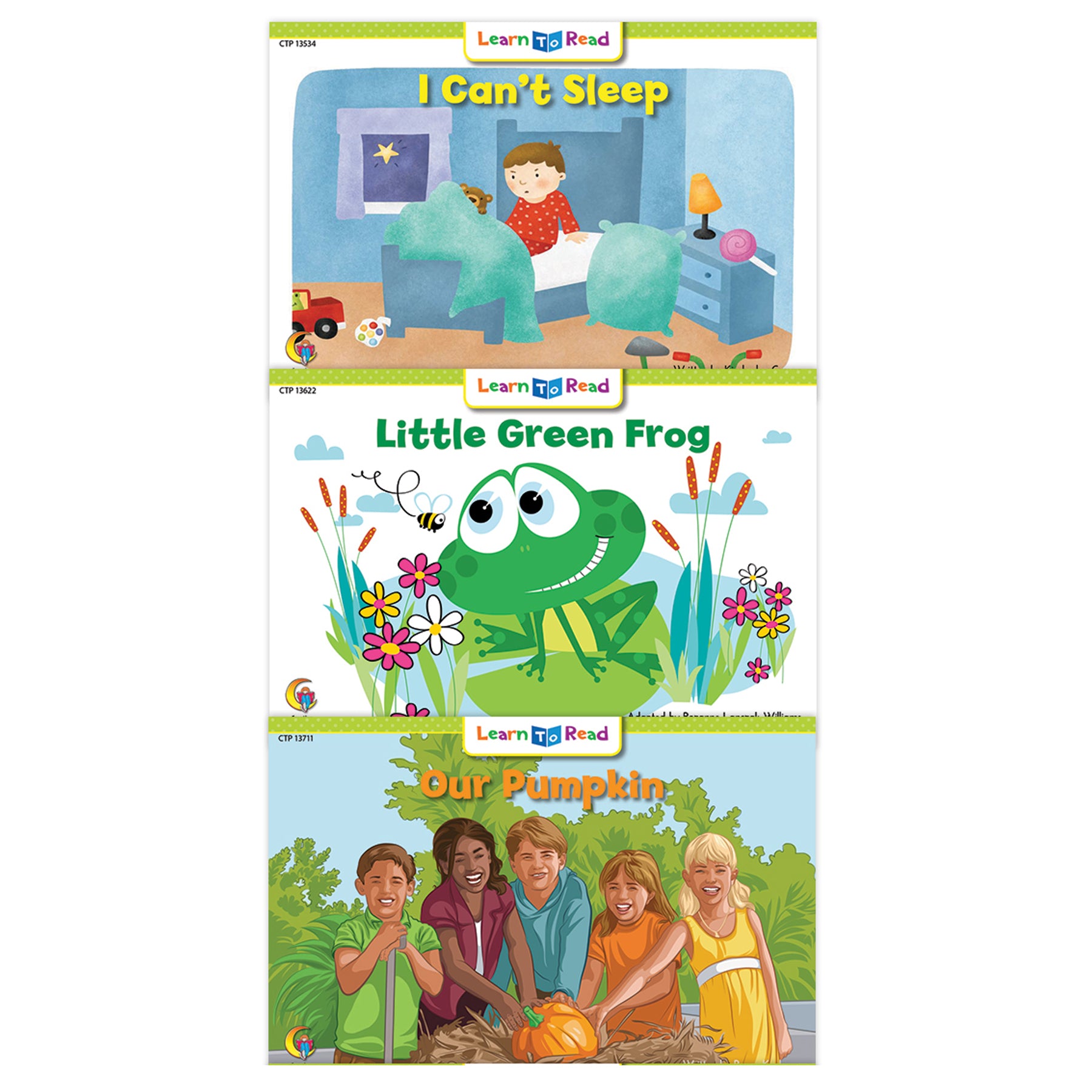 Learn to Read Variety Pack 6, Level D, 12 Titles