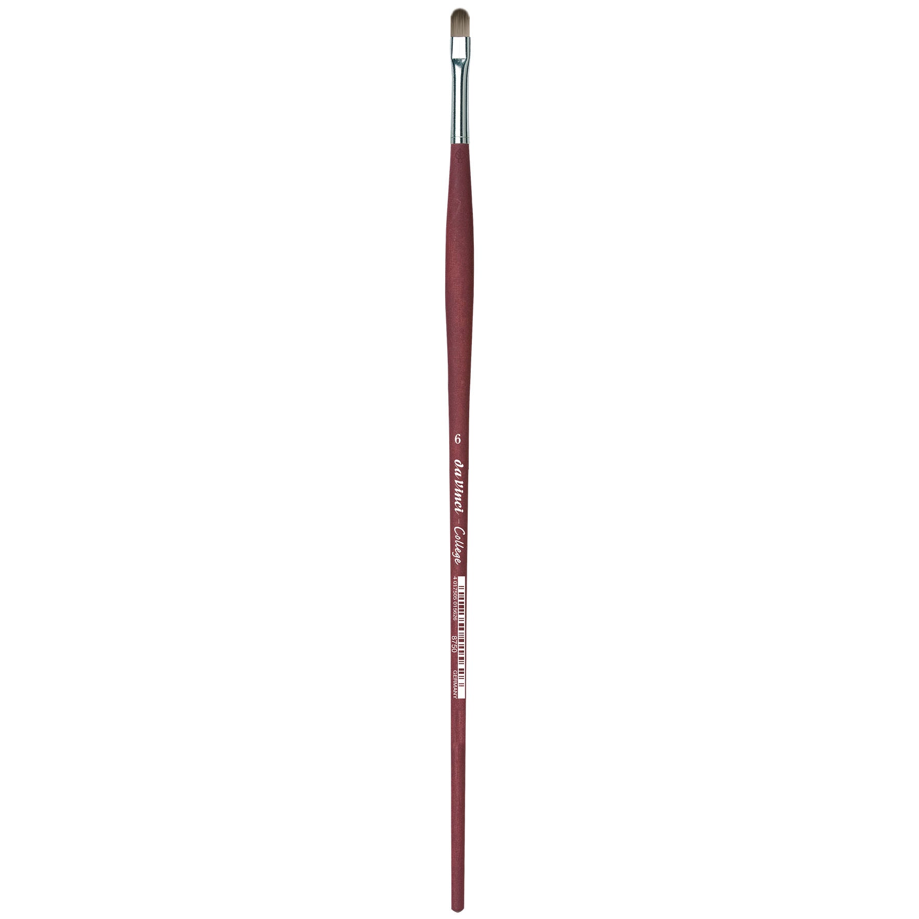 COLLEGE Student Brush, Synthetic, Acrylic & Oil, Filbert, Series 8750, Size 6