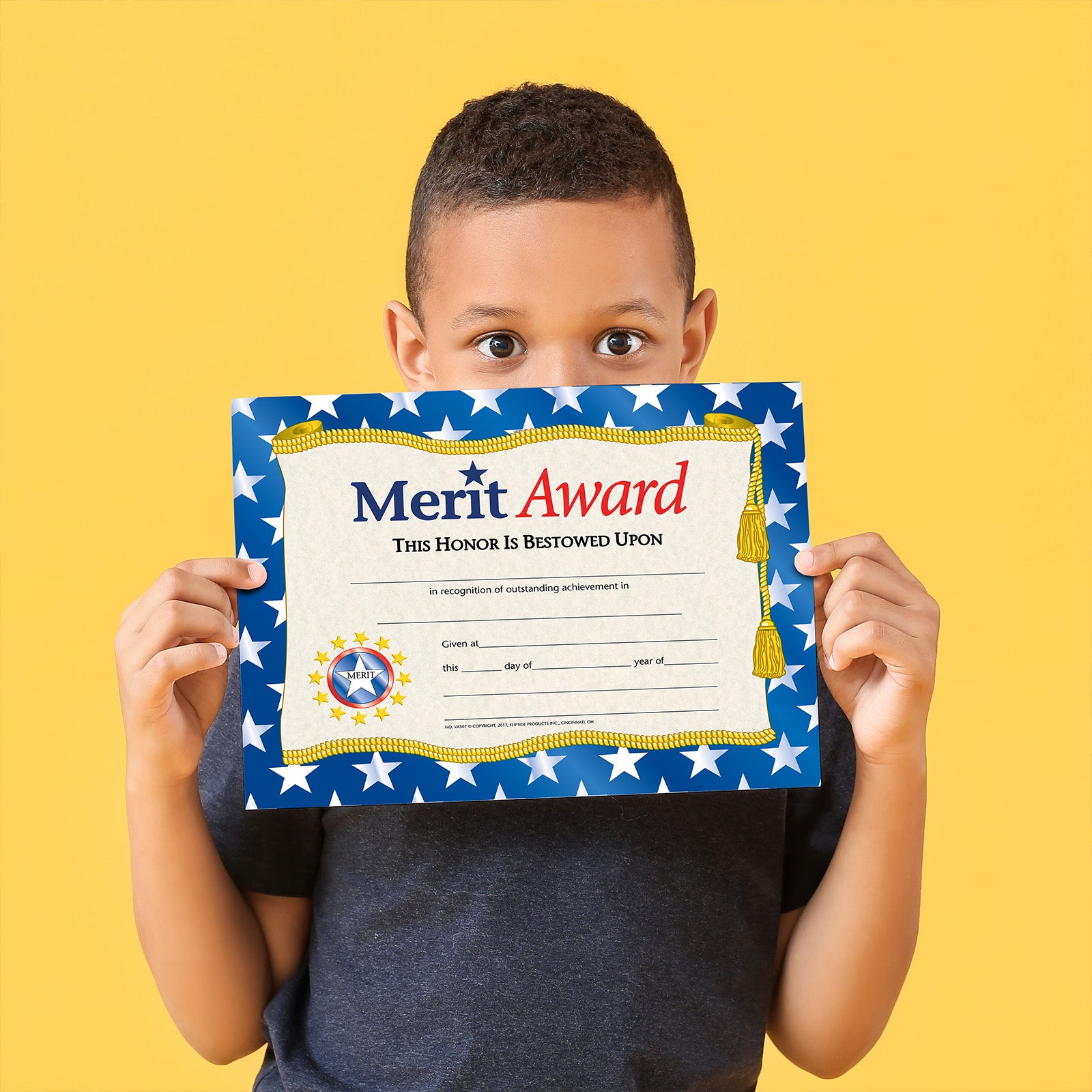 Merit Award Certificate, 8.5" x 11", Pack of 30