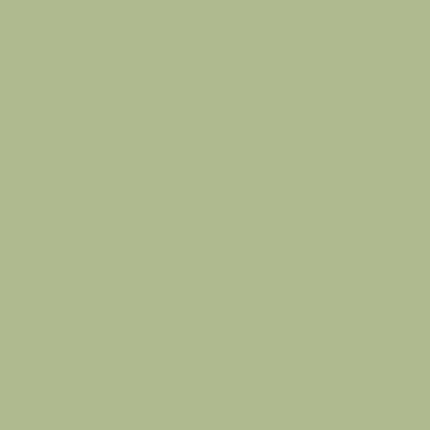 Acrylic Paint Matte, 8oz., Wild Wasabi